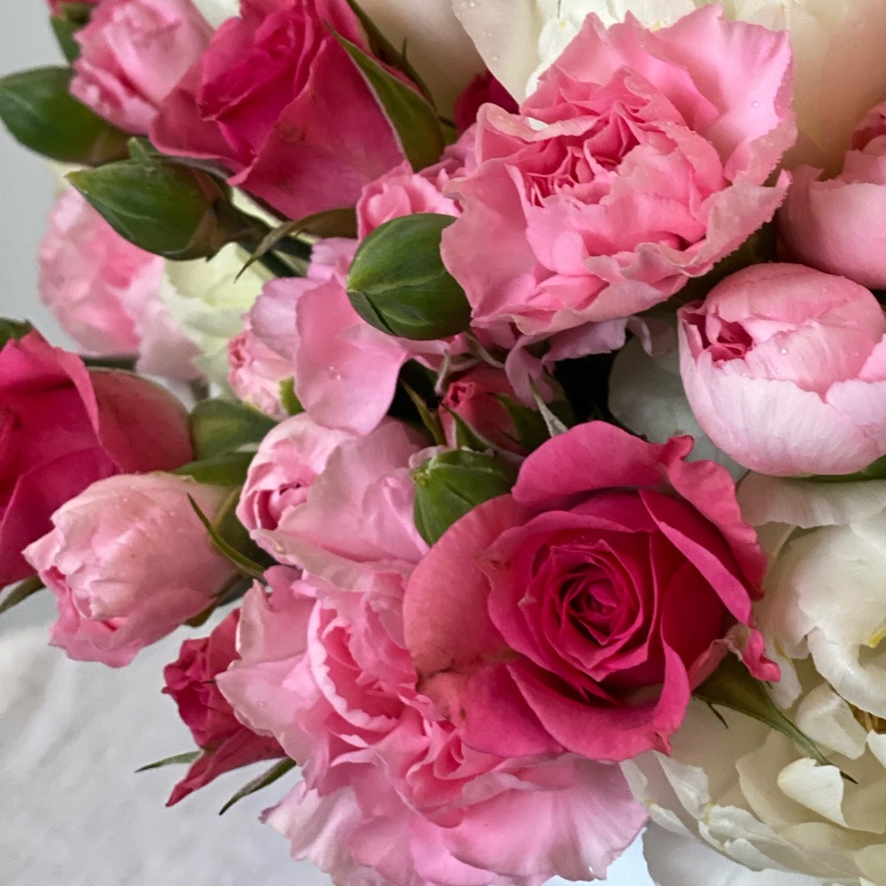 Meet your Posher, Stephanie